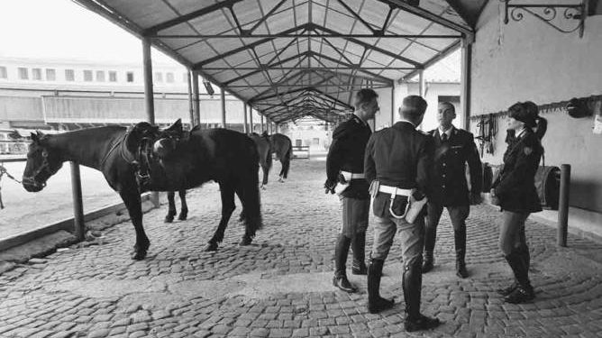 Presentazione Calendario della Polizia