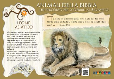 Ambasciata d’Israele e Fondazione Bioparco Inauguriamo l’Intinerario Culturale ” Animali della Bibbia